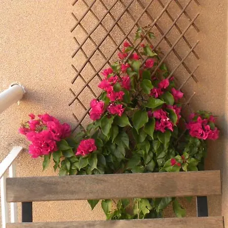 Estrela Garden Apartment Lissabon